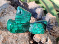 Polished Flower Banded Malachite Free Forms x 35 From Congo