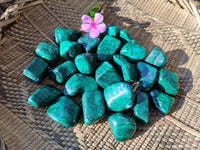 Polished Flower Banded Malachite Free Forms x 35 From Congo