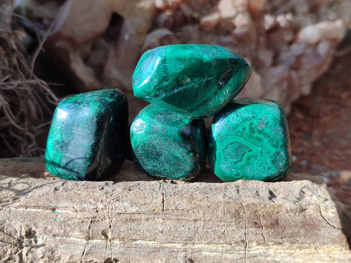 Polished Flower Banded Malachite Free Forms x 35 From Congo - Toprock Gemstones and Minerals 