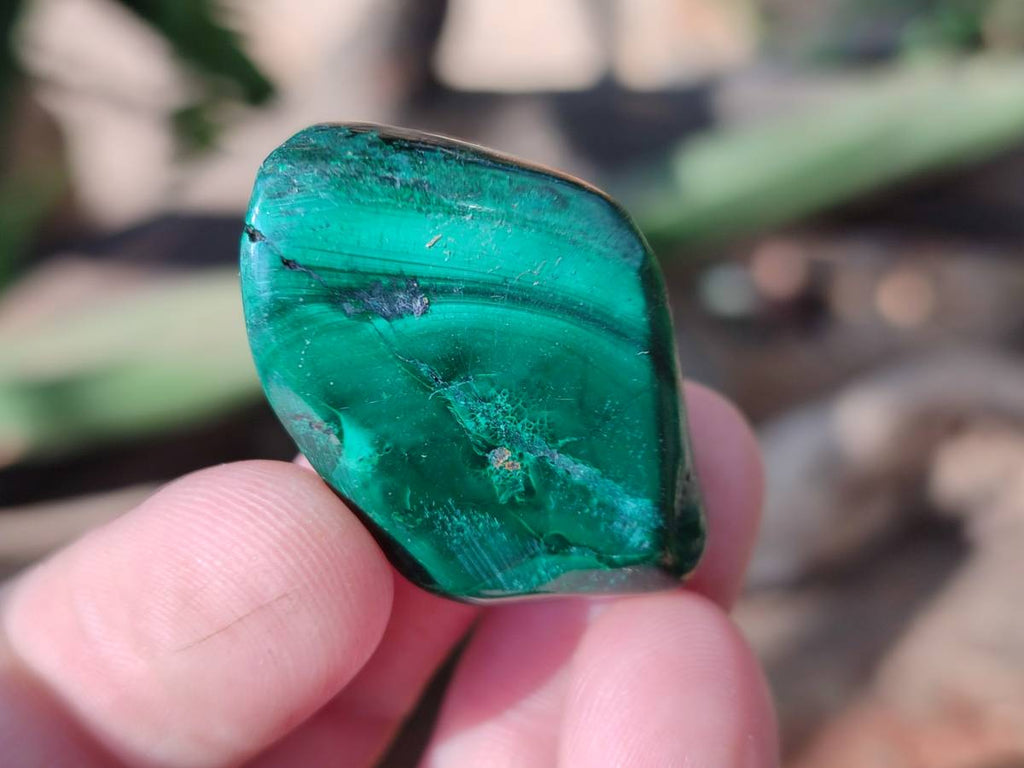 Polished Flower Banded Malachite Free Forms x 35 From Congo - Toprock Gemstones and Minerals 