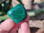 Polished Flower Banded Malachite Free Forms x 35 From Congo - Toprock Gemstones and Minerals 