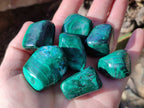 Polished Flower Banded Malachite Free Forms x 35 From Congo - Toprock Gemstones and Minerals 