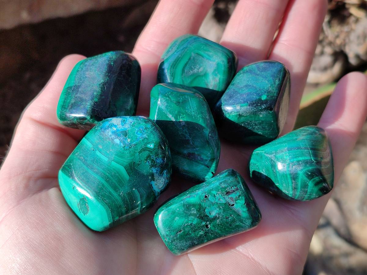 Polished Flower Banded Malachite Free Forms x 35 From Congo - Toprock Gemstones and Minerals 