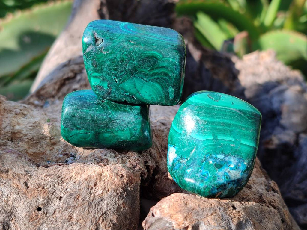 Polished Flower Banded Malachite Free Forms x 35 From Congo - Toprock Gemstones and Minerals 