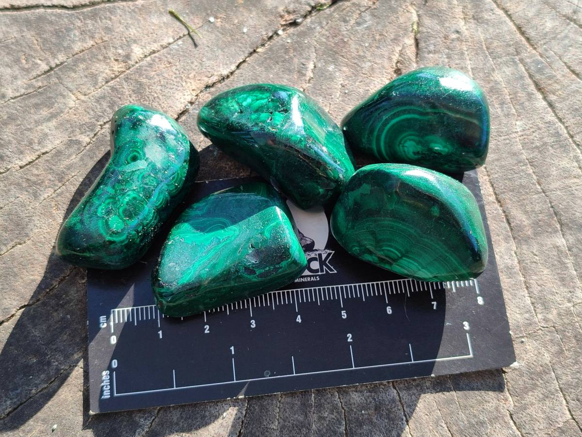 Polished Flower Banded Malachite Free Forms x 35 From Congo - Toprock Gemstones and Minerals 
