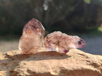 Natural Window Amethyst Crystals x 20 From Chiredzi, Zimbabwe
