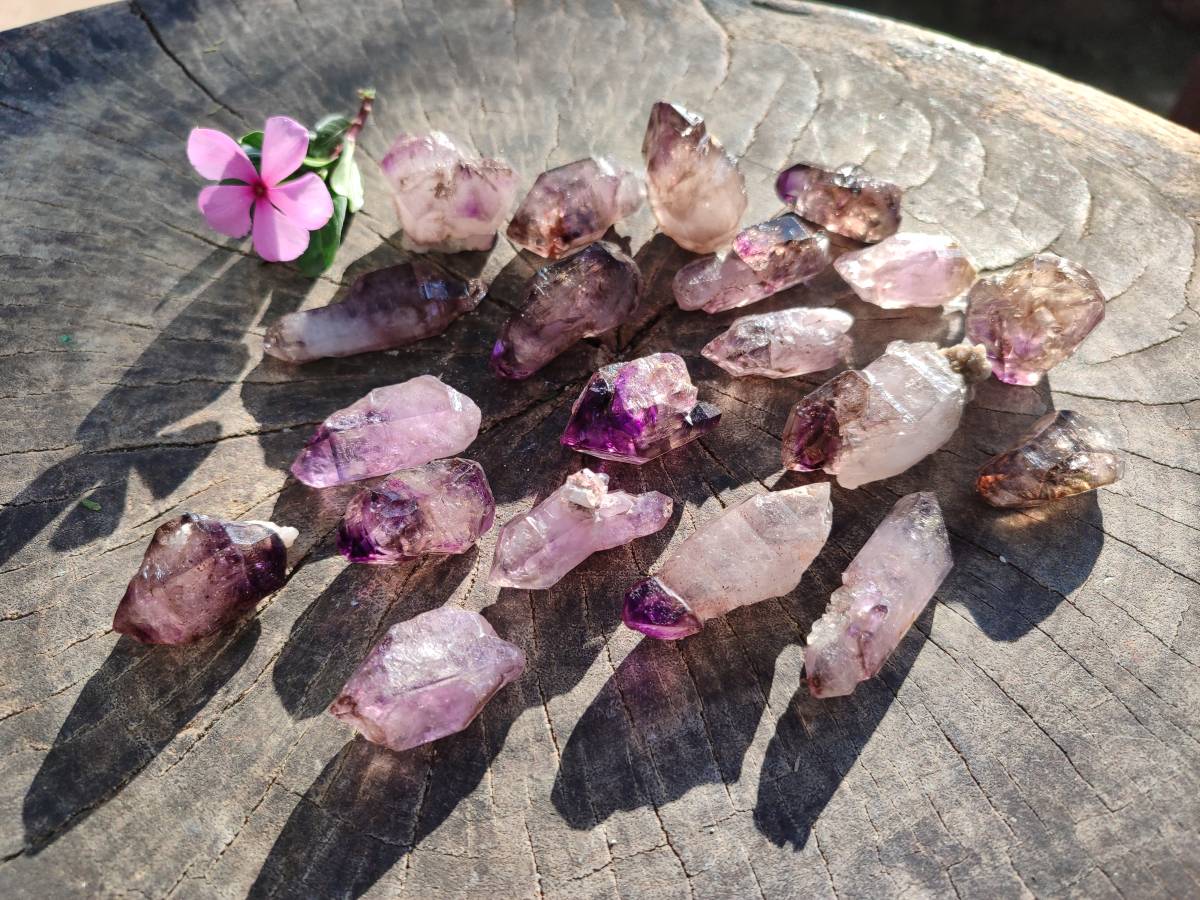 Natural Window Amethyst Crystals x 20 From Chiredzi, Zimbabwe - Toprock Gemstones and Minerals 