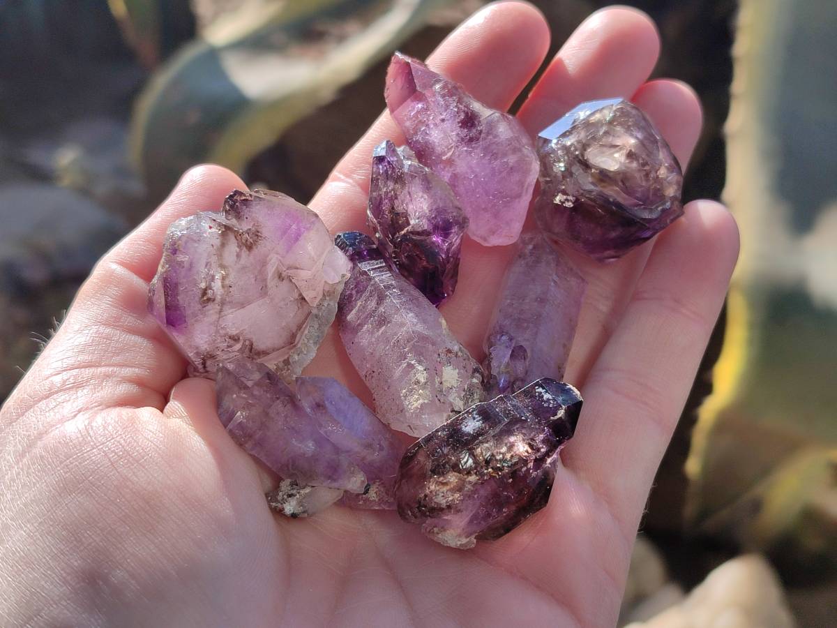 Natural Window Amethyst Crystals x 20 From Chiredzi, Zimbabwe - Toprock Gemstones and Minerals 
