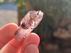 Natural Window Amethyst Crystals x 20 From Chiredzi, Zimbabwe - Toprock Gemstones and Minerals 