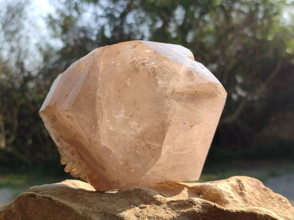 Polished Pearly Window Quartz Crystals x 1 From Madagascar - Toprock Gemstones and Minerals 