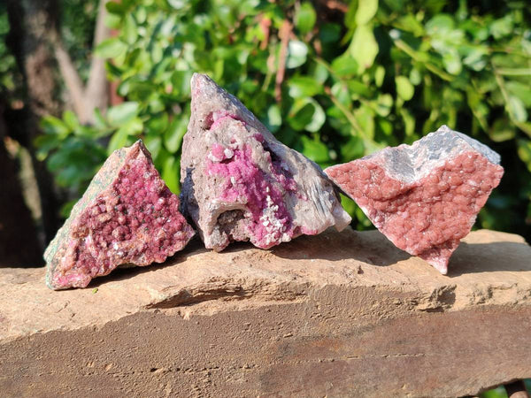 Natural Salrose Cobaltion Dolomite Specimens x 12 From Kakanda, Congo