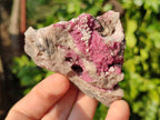 Natural Salrose Cobaltion Dolomite Specimens x 12 From Kakanda, Congo - Toprock Gemstones and Minerals 