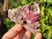 Natural Salrose Cobaltion Dolomite Specimens x 12 From Kakanda, Congo