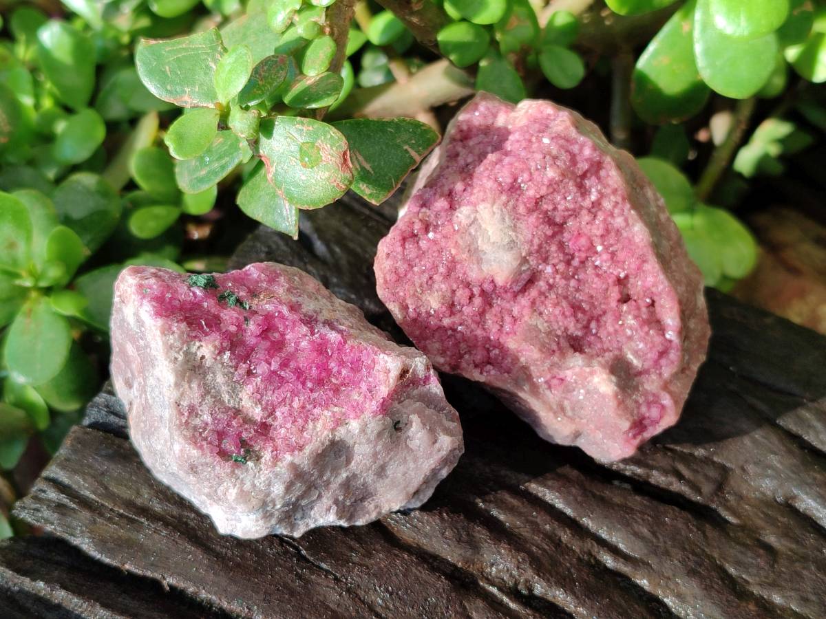 Natural Salrose Cobaltion Dolomite Specimens x 12 From Kakanda, Congo - Toprock Gemstones and Minerals 