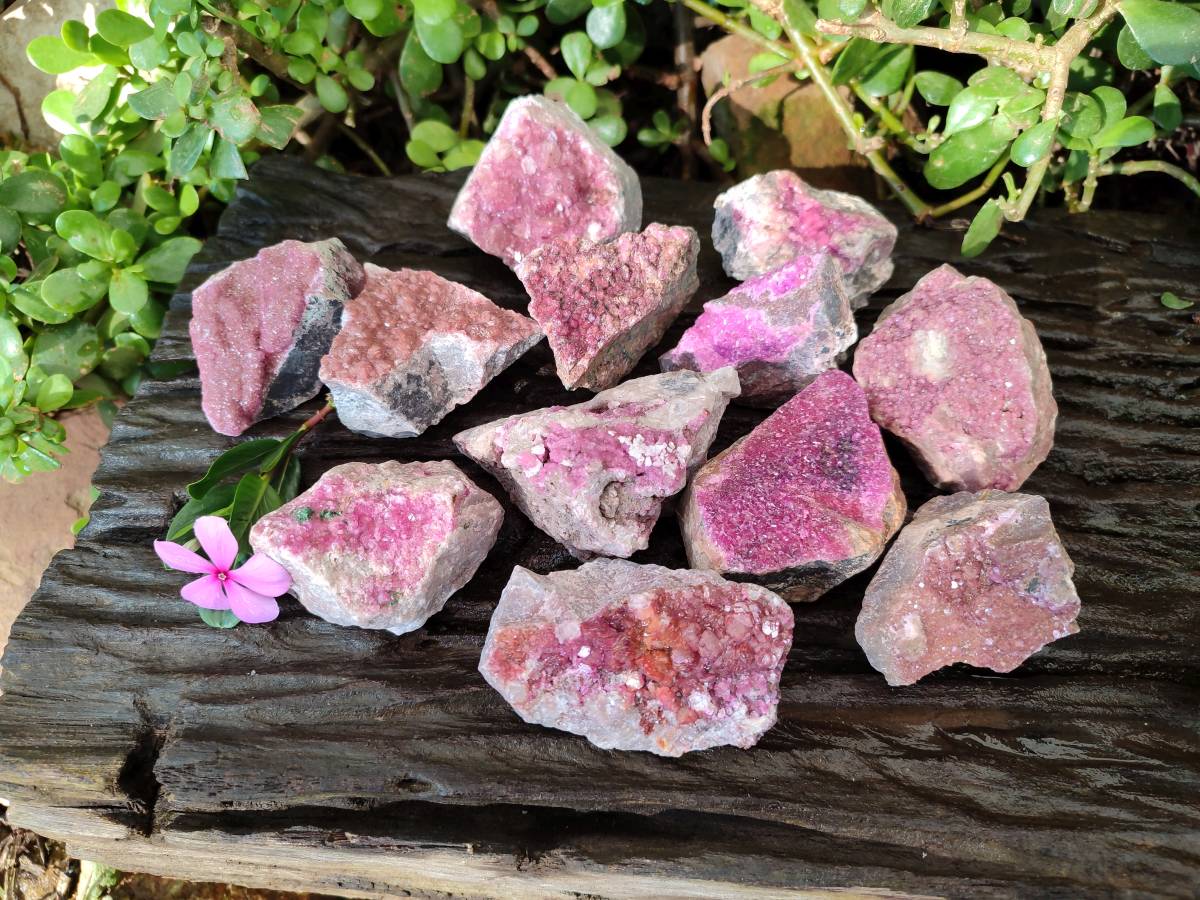 Natural Salrose Cobaltion Dolomite Specimens x 12 From Kakanda, Congo - Toprock Gemstones and Minerals 