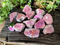 Natural Salrose Cobaltion Dolomite Specimens x 12 From Kakanda, Congo