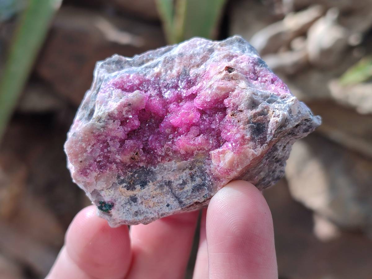Natural Salrose Cobaltion Dolomite Specimens x 12 From Kakanda, Congo - Toprock Gemstones and Minerals 