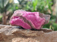 Natural Salrose Cobaltion Dolomite Specimens x 12 From Kakanda, Congo