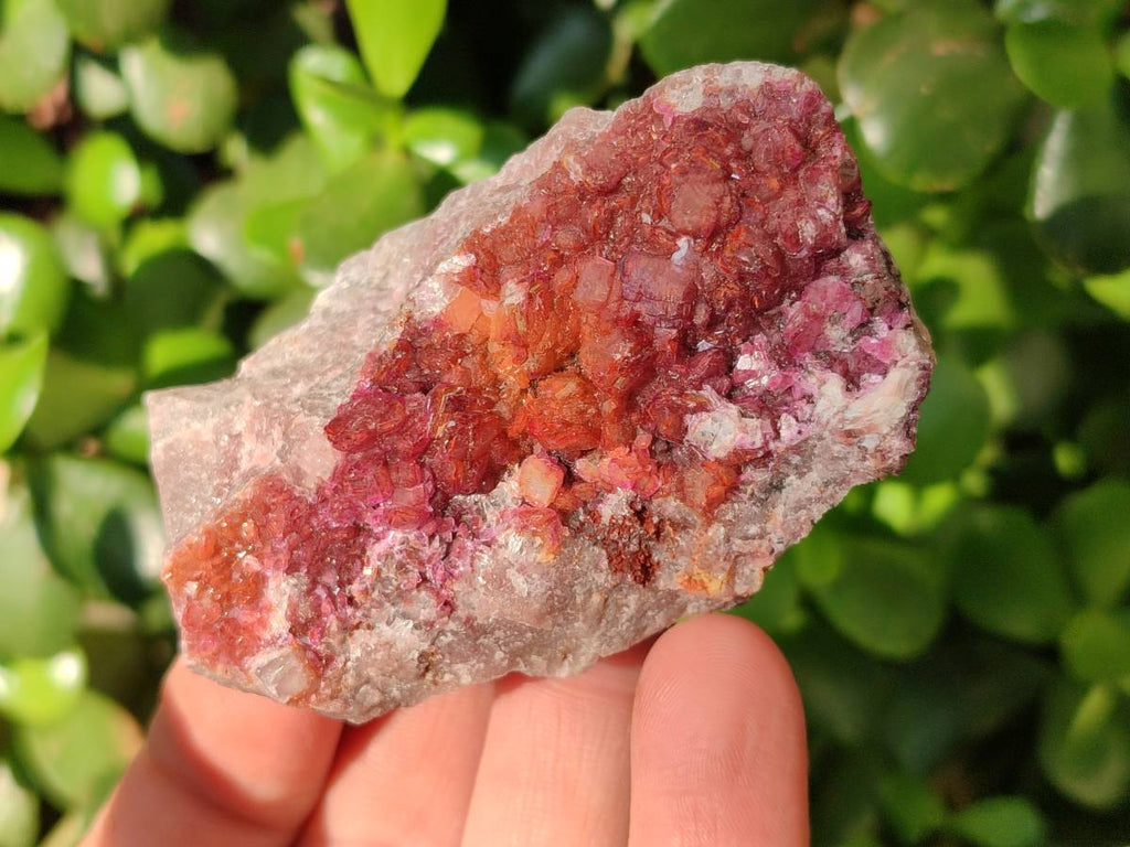 Natural Salrose Cobaltion Dolomite Specimens x 12 From Kakanda, Congo - Toprock Gemstones and Minerals 