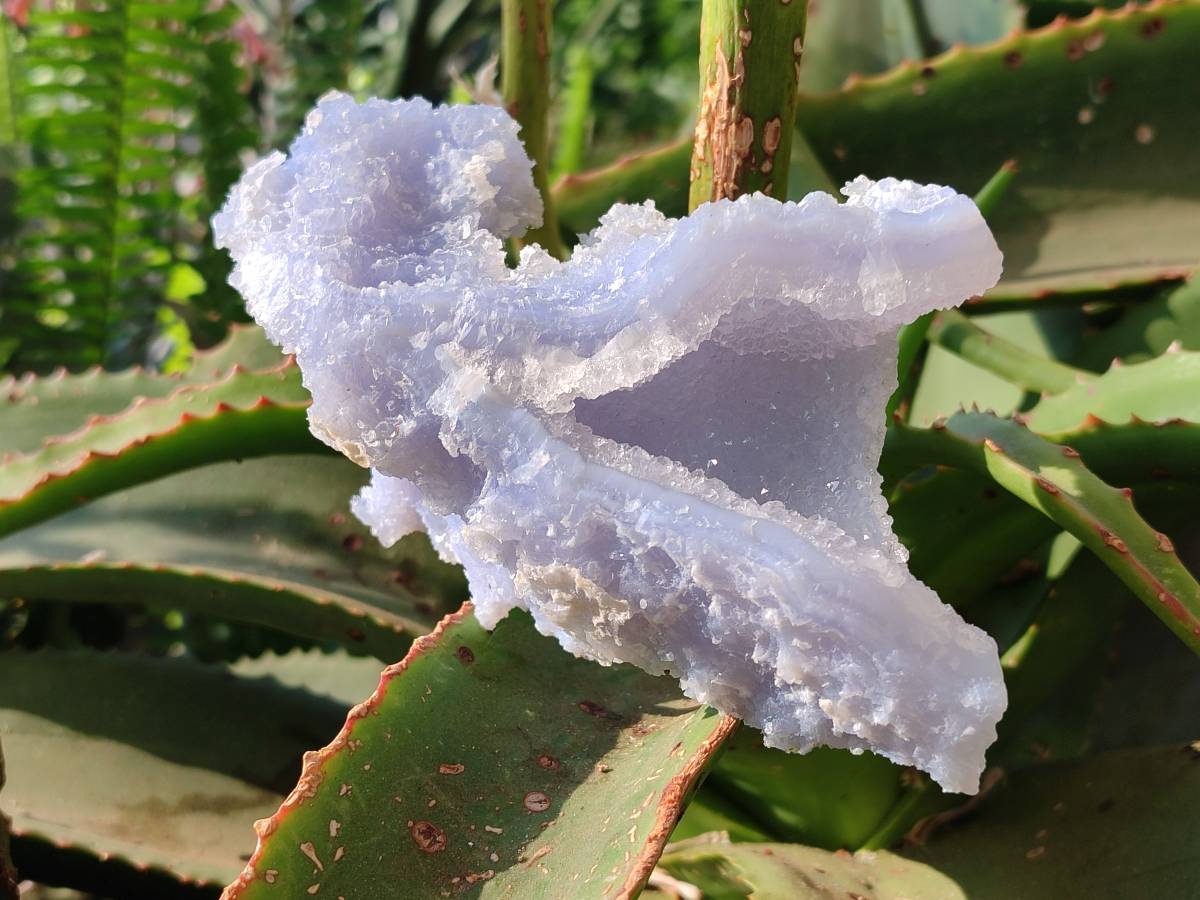 Natural Etched Blue Chalcedony Geodes x 3 From Nsanje, Malawi - Toprock Gemstones and Minerals 