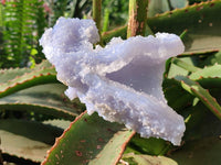 Natural Etched Blue Chalcedony Geodes x 3 From Nsanje, Malawi