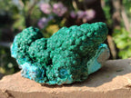 Natural Drusy Coated Chrysocolla with Malachite x 2 From Lupoto Mine, Congo - Toprock Gemstones and Minerals 