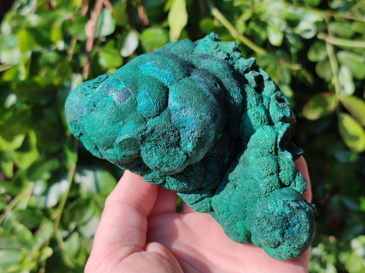 Natural Drusy Coated Chrysocolla with Malachite x 2 From Lupoto Mine, Congo - Toprock Gemstones and Minerals 