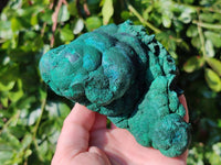 Natural Drusy Coated Chrysocolla with Malachite x 2 From Lupoto Mine, Congo