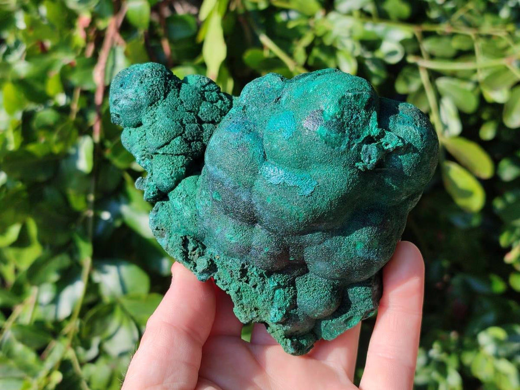 Natural Drusy Coated Chrysocolla with Malachite x 2 From Lupoto Mine, Congo - Toprock Gemstones and Minerals 