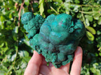 Natural Drusy Coated Chrysocolla with Malachite x 2 From Lupoto Mine, Congo - Toprock Gemstones and Minerals 
