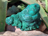 Natural Drusy Coated Chrysocolla with Malachite x 2 From Lupoto Mine, Congo