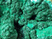 Natural Drusy Coated Chrysocolla with Malachite x 2 From Lupoto Mine, Congo