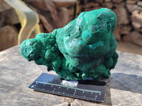 Natural Drusy Coated Chrysocolla with Malachite x 2 From Lupoto Mine, Congo