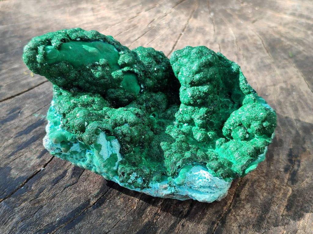 Natural Drusy Coated Chrysocolla with Malachite x 2 From Lupoto Mine, Congo - Toprock Gemstones and Minerals 