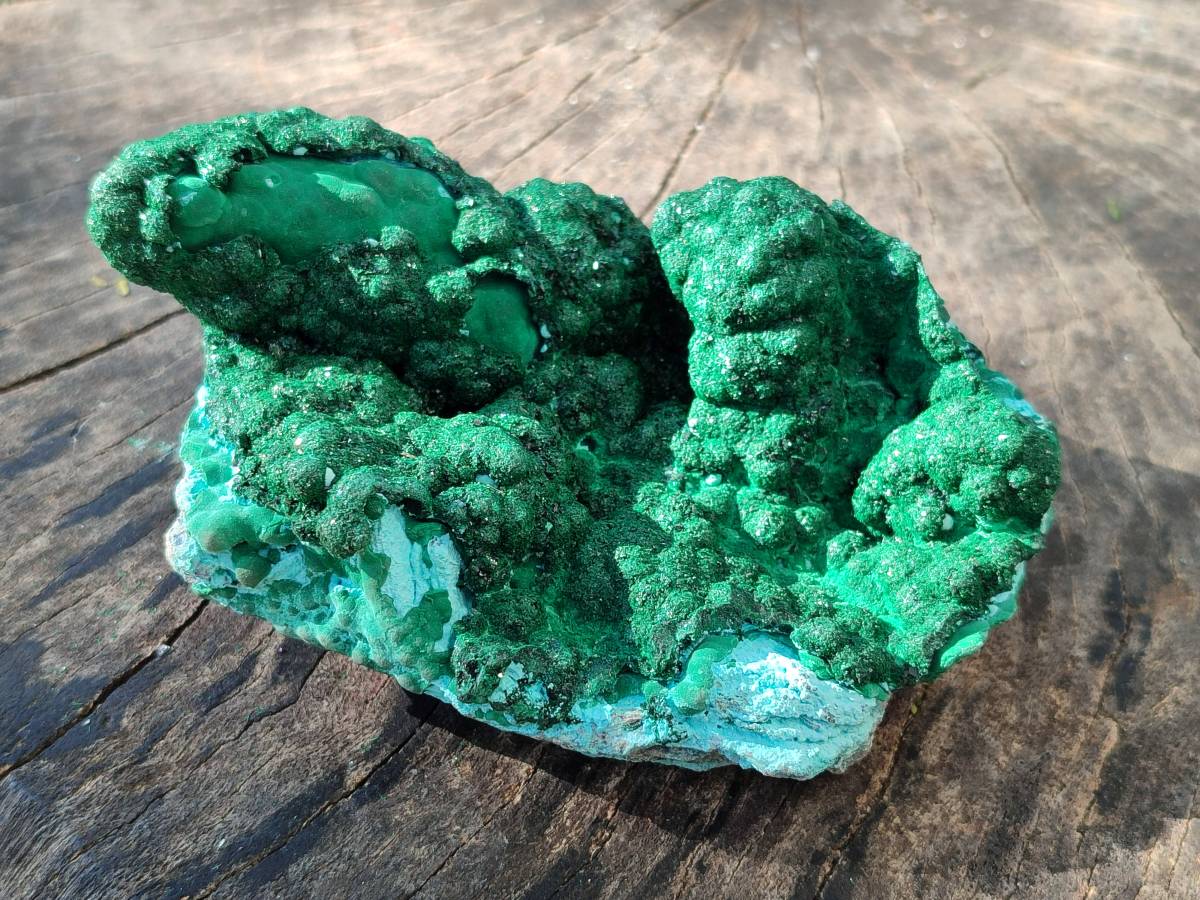 Natural Drusy Coated Chrysocolla with Malachite x 2 From Lupoto Mine, Congo - Toprock Gemstones and Minerals 