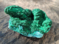 Natural Drusy Coated Chrysocolla with Malachite x 2 From Lupoto Mine, Congo
