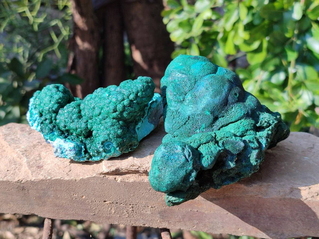 Natural Drusy Coated Chrysocolla with Malachite x 2 From Lupoto Mine, Congo - Toprock Gemstones and Minerals 