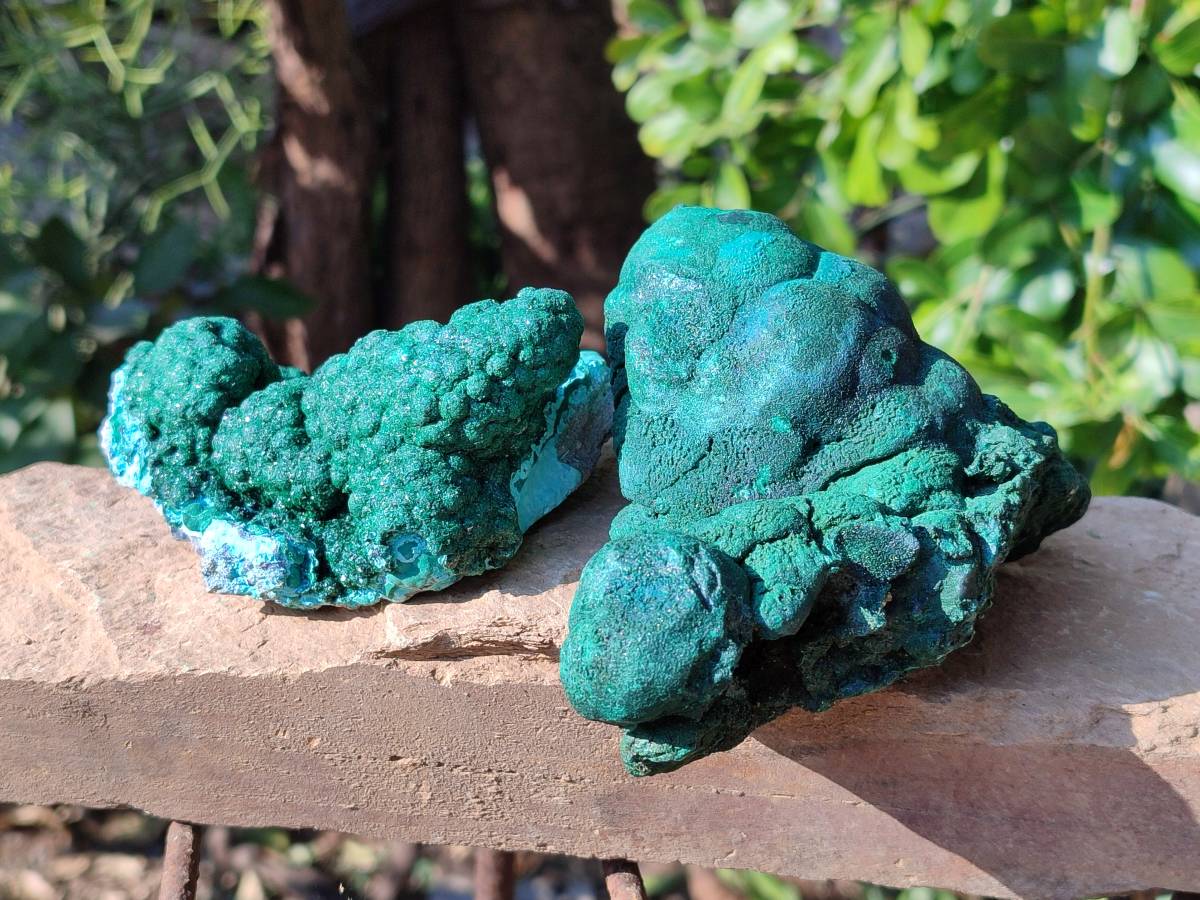 Natural Drusy Coated Chrysocolla with Malachite x 2 From Lupoto Mine, Congo - Toprock Gemstones and Minerals 