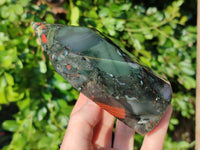 Polished Bloodstone Points x 2 From Swaziland