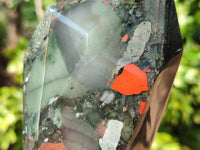 Polished Bloodstone Points x 2 From Swaziland