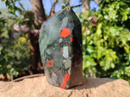 Polished Bloodstone Points x 2 From Swaziland - Toprock Gemstones and Minerals 