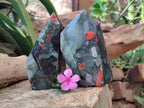 Polished Bloodstone Points x 2 From Swaziland - Toprock Gemstones and Minerals 