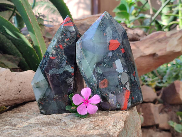 Polished Bloodstone Points x 2 From Swaziland