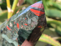 Polished Bloodstone Points x 2 From Swaziland