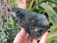 Polished Bloodstone Points x 2 From Swaziland