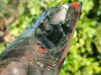 Polished Bloodstone Points x 2 From Swaziland