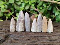 Natural Belemnite Fossil Specimens x 2kg Lots From Maintirano, Madagascar