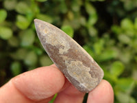 Natural Belemnite Fossil Specimens x 2kg Lots From Maintirano, Madagascar