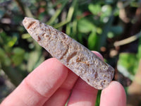Natural Belemnite Fossil Specimens x 2kg Lots From Maintirano, Madagascar