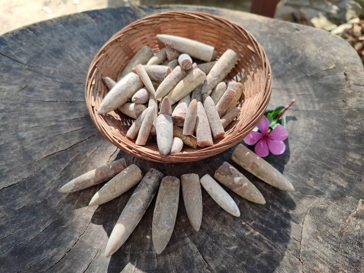Natural Belemnite Fossil Specimens x 2kg Lots From Maintirano, Madagascar - Toprock Gemstones and Minerals 